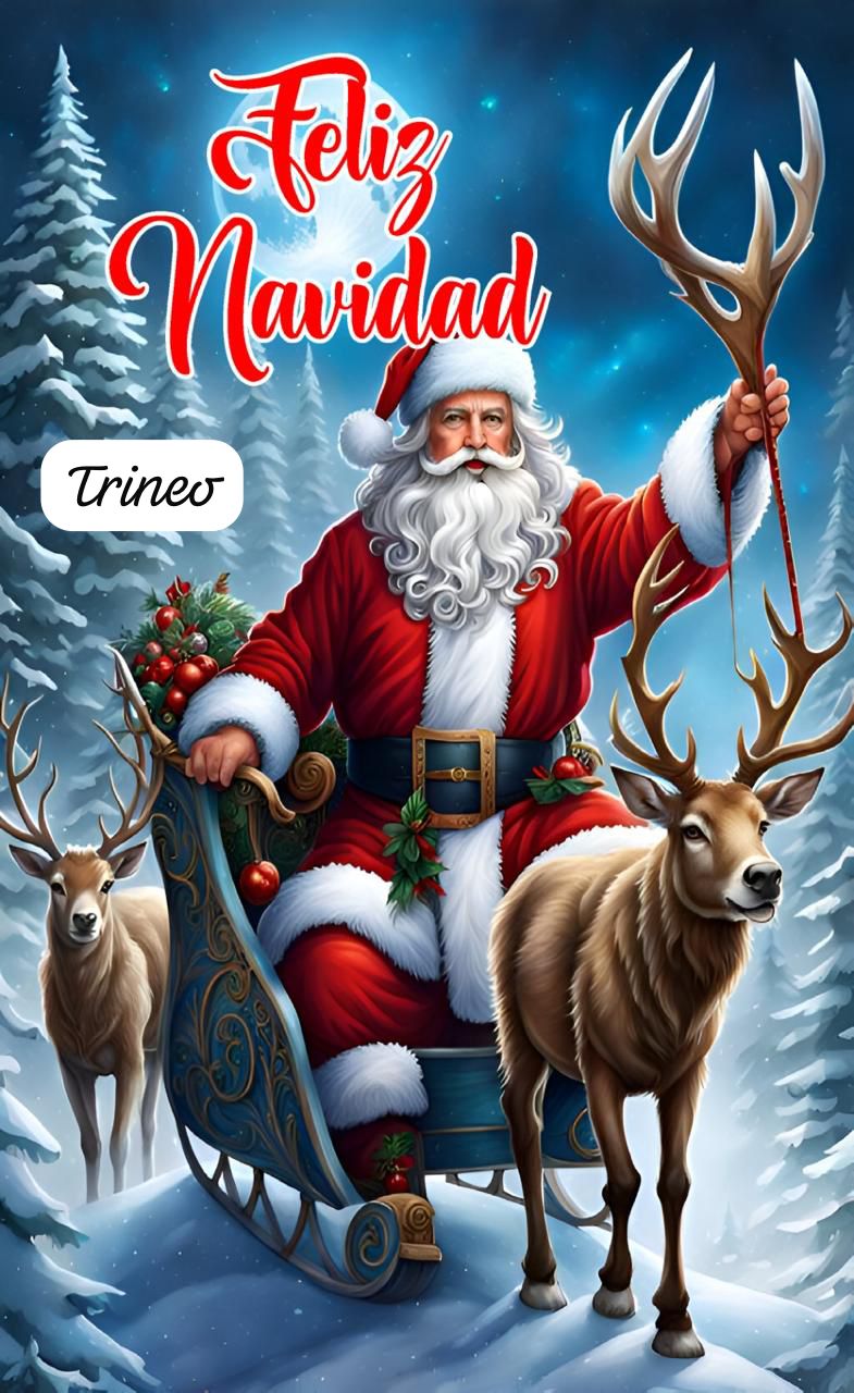 Forro de Puertas Navideñas Premium